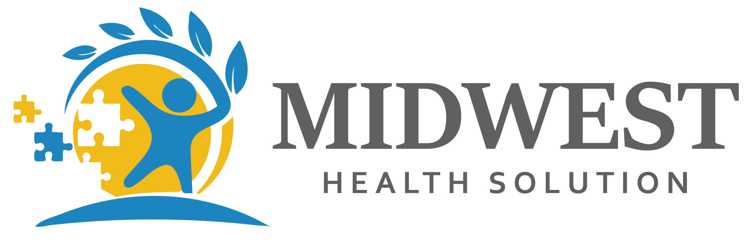 Midwest Health Solution LLC